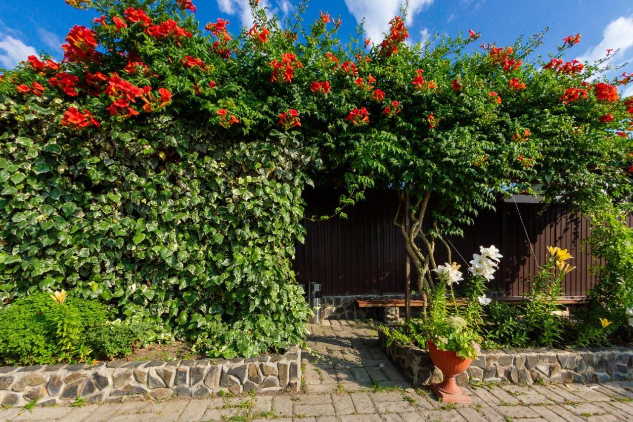 Hotel Абхазская Усадьба Gagra Exteriér fotografie
